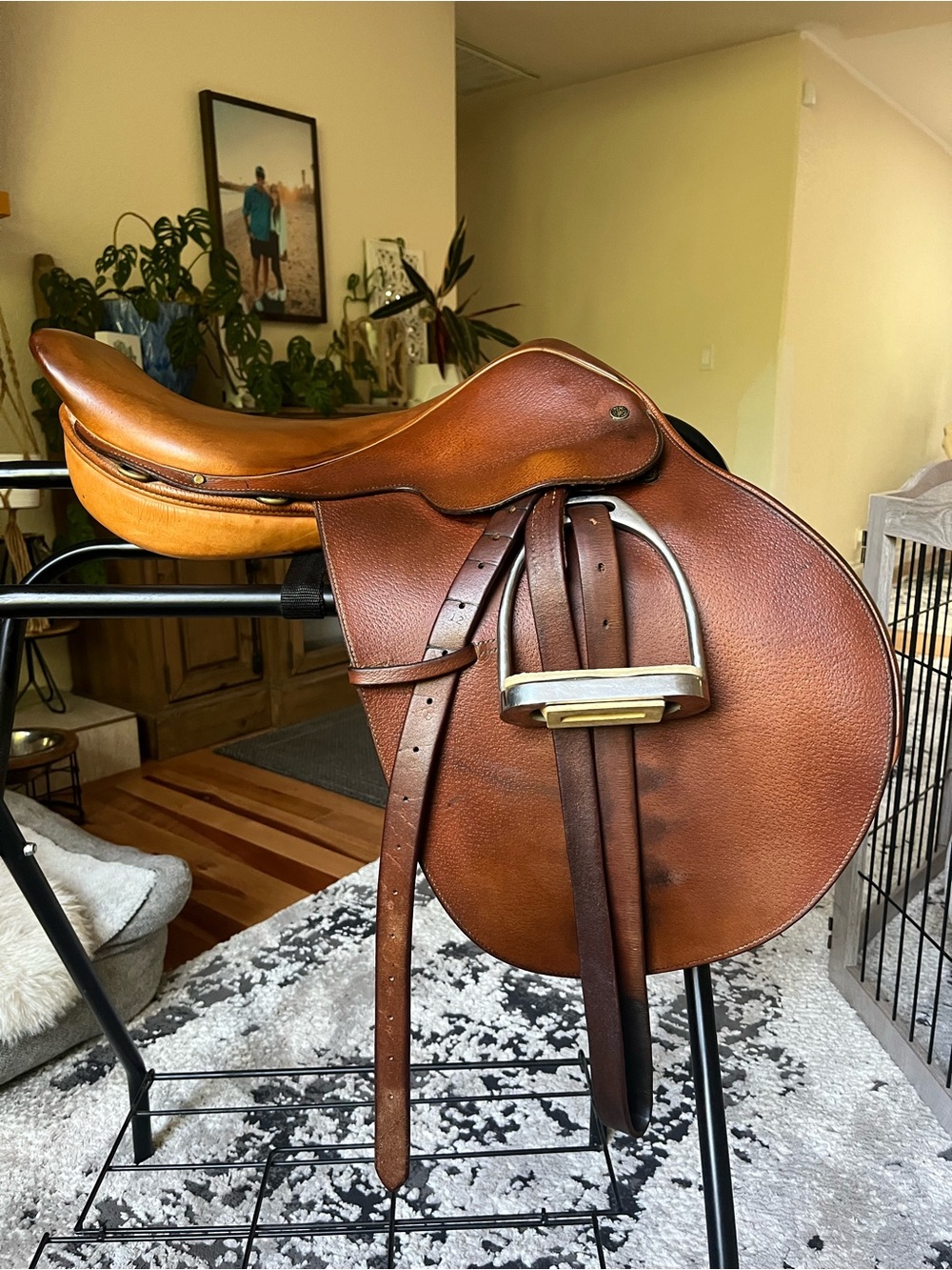 17” Crosby English Saddle- Horse Riding